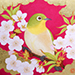 Yuki Maruyama Gallery